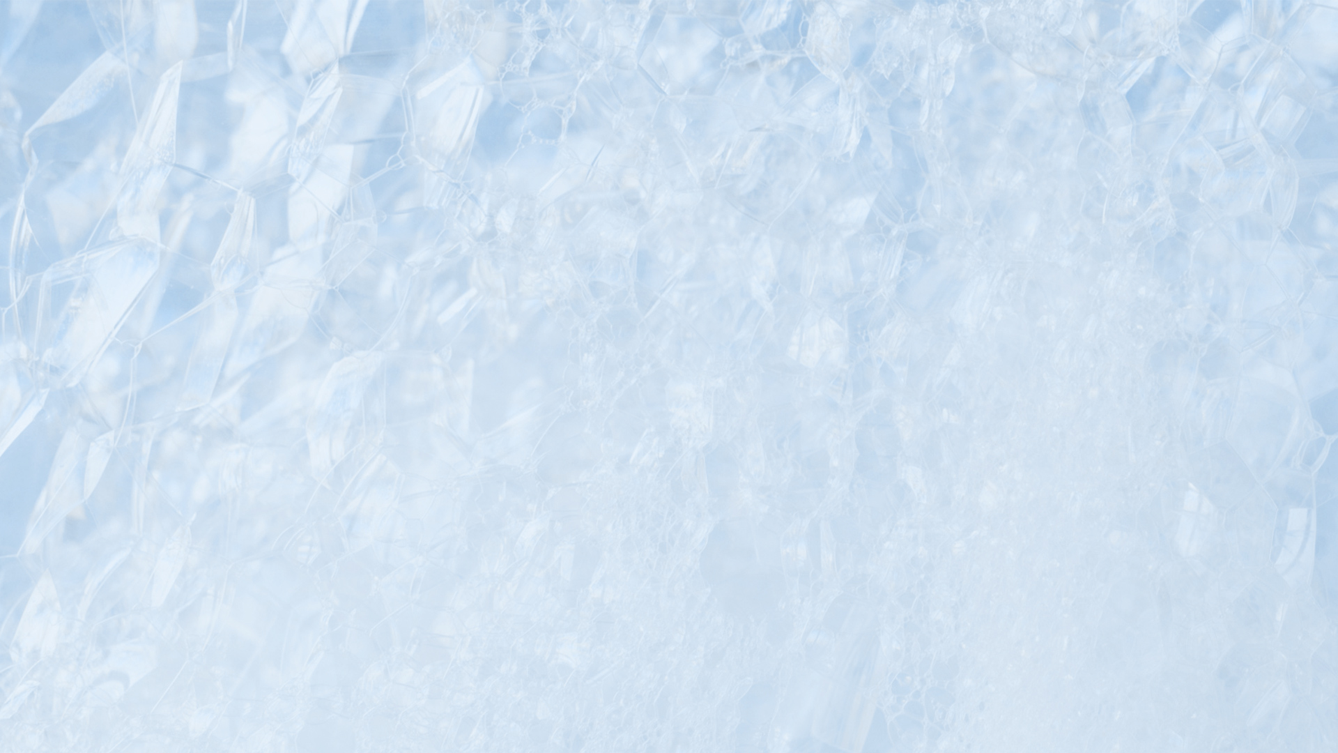 新着情報